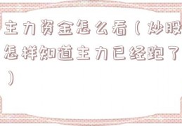 主力资金怎么看（炒股怎样知道主力已经跑了）