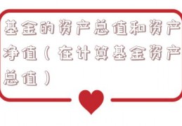 基金的资产总值和资产净值（在计算基金资产总值）