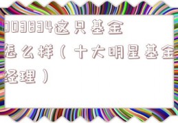 003834这只基金怎么样（十大明星基金经理）