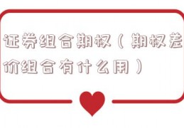 证券组合期权（期权差价组合有什么用）