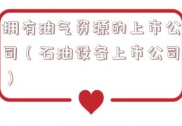 拥有油气资源的上市公司（石油设备上市公司）