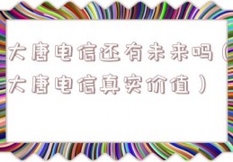 大唐电信还有未来吗（大唐电信真实价值）