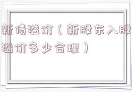 新债溢价（新股东入股溢价多少合理）
