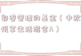 郭睿管理的基金（中欧悦享生活混合A）