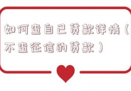 如何查自己贷款详情（不查征信的贷款）