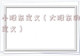 小股东定义（大股东的定义）