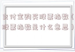 支付宝购买股票指数（股票指数是什么意思）