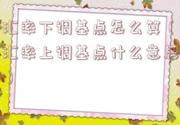 汇率下调基点怎么算（汇率上调基点什么意思）