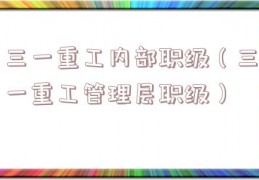 三一重工内部职级（三一重工管理层职级）