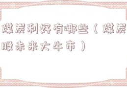 煤炭利好有哪些（煤炭股未来大牛市）