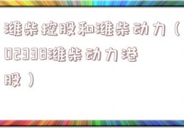 潍柴控股和潍柴动力（02338潍柴动力港股）