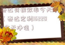 泰达荷银效率今天净值（泰达宏利162207今天净值）