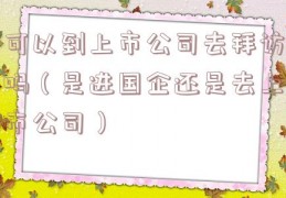 可以到上市公司去拜访吗（是进国企还是去上市公司）