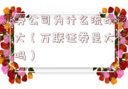 证券公司为什么流动这么大（万联证券是大公司吗）