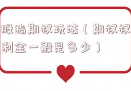 股指期权玩法（期权权利金一般是多少）