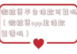 微粒贷平台借款可靠吗（微粒贷app里借款靠谱吗）