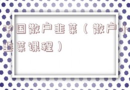 中国散户韭菜（散户小韭菜课程）