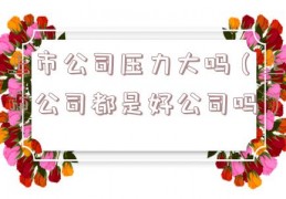 上市公司压力大吗（上市公司都是好公司吗）