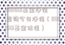 001513基金净值查询今日净值（001513基金估值）