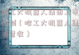 哈工大机器人集团上市计划（哈工大机器人集团营收）