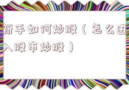 新手如何炒股（怎么进入股市炒股）
