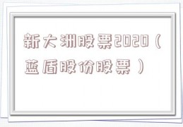 新大洲股票2020（蓝盾股份股票）