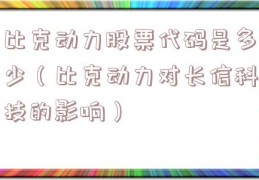 比克动力股票代码是多少（比克动力对长信科技的影响）