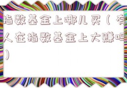 指数基金上哪儿买（有人在指数基金上大赚吗）
