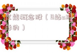 宝能概念股（B站a股标的）