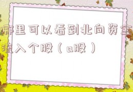 哪里可以看到北向资金流入个股（a股）