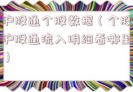 沪股通个股数据（个股沪股通流入明细看哪里）