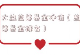 大盘蓝筹基金净值（蓝筹基金排名）