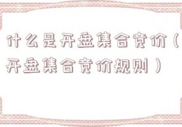 什么是开盘集合竞价（开盘集合竞价规则）