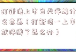 打新债上市当天停牌什么意思（打新债一上市就停牌了怎么办）