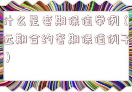 什么是套期保值举例（远期合约套期保值例子）