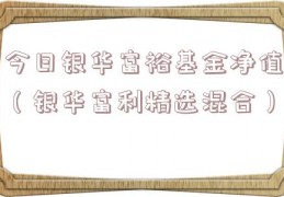 今日银华富裕基金净值（银华富利精选混合）