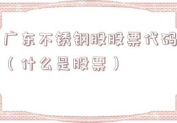 广东不锈钢股股票代码（什么是股票）