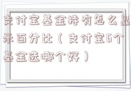 支付宝基金持有怎么显示百分比（支付宝6个基金选哪个好）