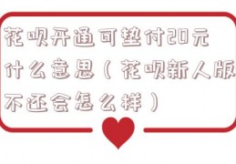 花呗开通可垫付20元什么意思（花呗新人版不还会怎么样）