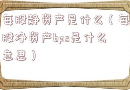 每股静资产是什么（每股净资产bps是什么意思）