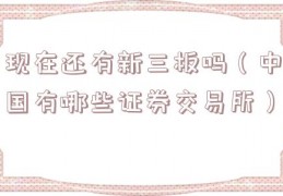 现在还有新三板吗（中国有哪些证券交易所）