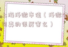 上海泛微市值（泛微公司真的很厉害么）