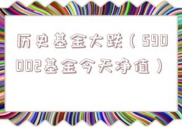 历史基金大跌（590002基金今天净值）