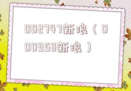 002747新浪（000958新浪）