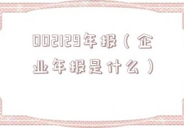 002129年报（企业年报是什么）