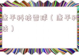 康平科技雪球（康平科技）