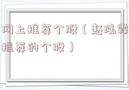 网上推荐个股（赵泓霖推荐的个股）