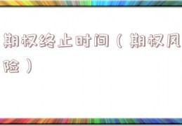期权终止时间（期权风险）