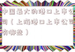 中国最大的港口上市公司（上海港口上市公司有哪些）