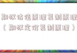 期权估值原理复制原理（期权定价复制原理）